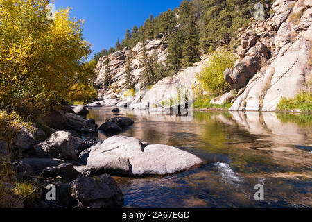 Herbst Farbe auf dem Quellgebiet des South Platte River in elf Mile Canyon Colorado Stockfoto