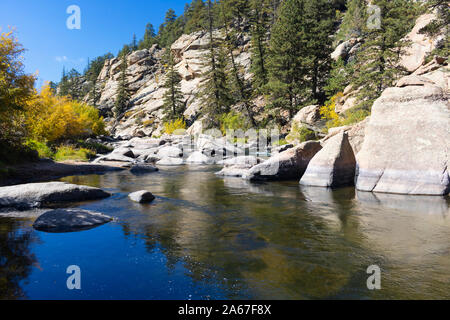 Herbst Farbe auf dem Quellgebiet des South Platte River in elf Mile Canyon Colorado Stockfoto