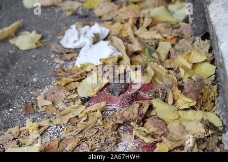 ROMA - OMICIDIO LUCA SACCHI Stockfoto