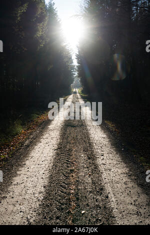 Waldweg, Oberweser, Weserbergland, Nordrhein-Westfalen, Hessen, Deutschland Stockfoto