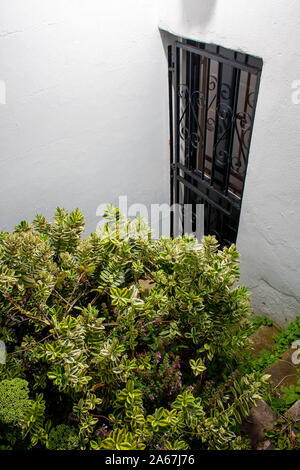 Sicherheit Grills auf einem teilweise verborgene Tür und Fenster Stockfoto