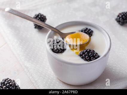 Schüssel mit Brombeeren in weißen Joghurt auf weißen Serviette und Holz schwarz Tisch. Stockfoto