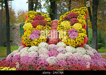 Schmetterling der Chrysanthemen. Bunte Blumensträuße in Form eines Schmetterlings im Herbst Park gelegt. Skulpturen von Blumen deco Stockfoto