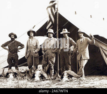 Der ehemalige US-Präsident Theodore Roosevelt (Mitte) mit L-R: Jäger R. J. Cunninghame, Sohn Kermit Roosevelt, Edmund Heller, und Hugh H. Heatley, in voller Länge Porträt stehen mit den afrikanischen Büffel Schädel auf einer ausgedehnten African Safari, Smithsonian-Roosevelt African Expedition, Kenia, Charles Scribner's Sons, Juli 1909 Stockfoto