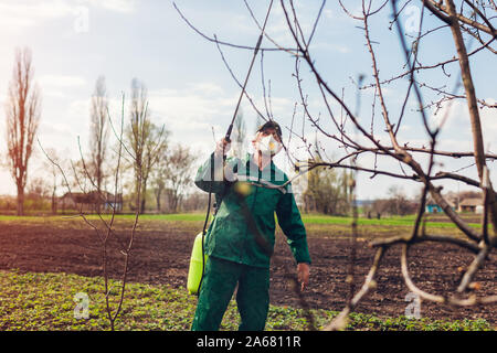 Senior Bauer spritzen Baum mit manueller Pestizid Feldspritze gegen Insekten im Herbst Garten. Landwirtschaft und Gartenbau Konzept Stockfoto