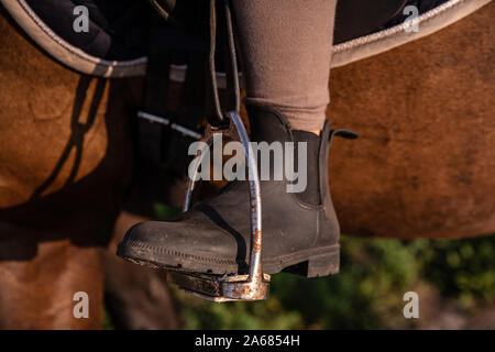 In der Nähe von Reiten mit Fuß im Steigbügel Stockfoto