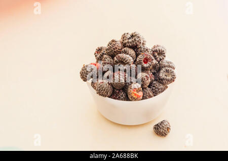 Schüssel Rubus occidentalis bezeichnet Stockfoto