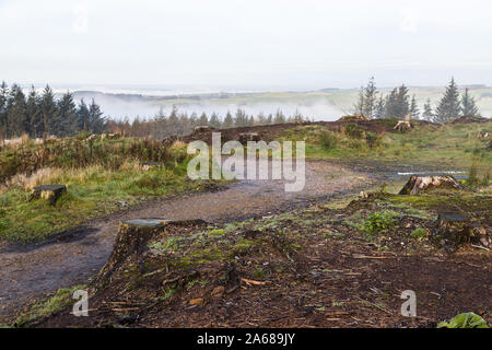 Ein steiniger Weg führt Wanderer an der Seite eines Hügels und durch ein Gebiet von Abholzung im Beacon fiel Country Park. Stockfoto