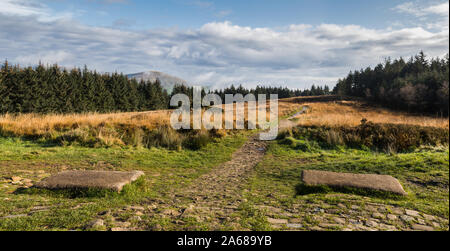 Multi bild Rundblick vom Gipfel des Beacon fiel Country Park im Oktober 2019. Stockfoto