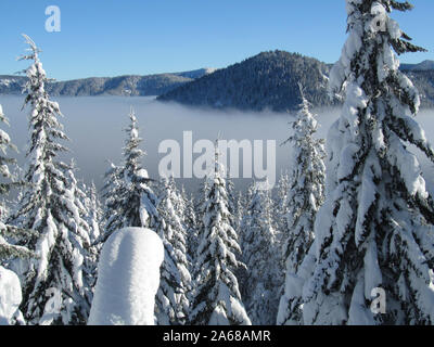 Eine verschneite Winter Blick von Barlow Butte über den Nebel auf dem Weg zum Geist Ridge. Mt. Hood National Forest. Mt. Haube Wildnis. Stockfoto