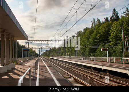 Blick auf die S-Bahn mit Schienen und Plattformen in zwei Richtungen. Wald im Hintergrund Stockfoto