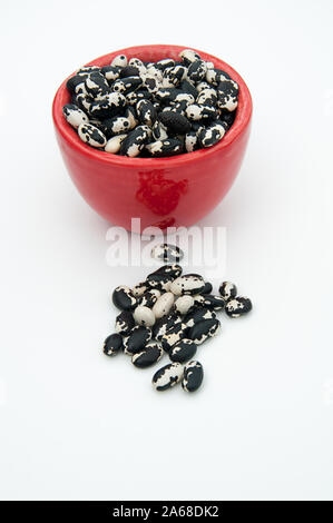 Rot Schüssel von erbstück orca Bohnen, getrocknete Hülsenfrüchte Gemüse auf einem hellen Hintergrund. Seltene Bohne-sämenkorner bereiten für das Einpflanzen oder Kochen. Stockfoto