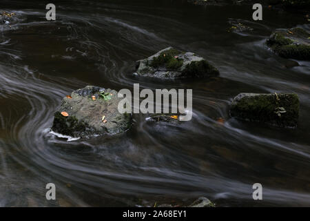 Dies ist eine lange Belichtung Foto von einem Stein mit Blätter im Herbst in einem schnellen flowwing Stream. Die lange Exposition verwischt die Bewegung der Wasser Stockfoto