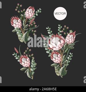 Einstellen der Blumensträuße mit Protea Blumen, Eukalyptus und Blätter isoliert. Vektor. Stock Vektor