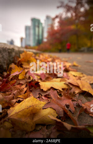 Gefallenen Blätter im Herbst. Eine Rinne voll von bunten Laub im Herbst. Stockfoto