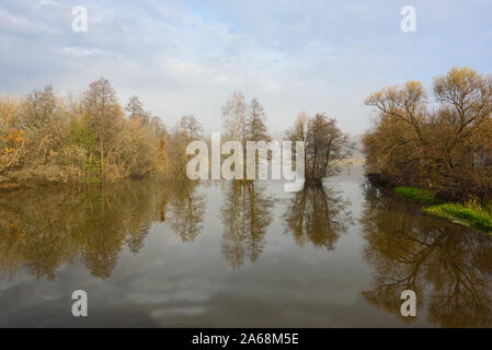 Morgen auf dem Fluss, Bäume sind im Wasser wider. Landschaft mit Bäumen und einem Fluss. Stockfoto