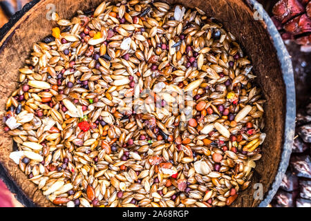 Detail einer Bird Feeder mit Hirse und birdseed Samen. Stockfoto