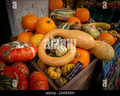 Kürbisse und Kürbisse zum Verkauf in Borough Market, London, UK. Stockfoto