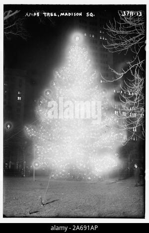 Weihnachtsbaum - Madison Sq. Stockfoto