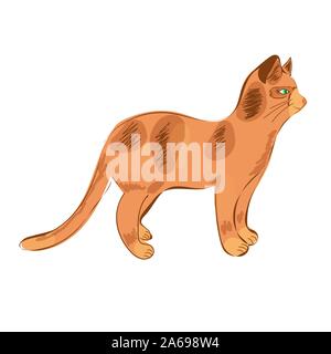 Ein rot gefleckte Katze steht im Profil. Stock Vektor