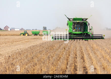 Soja Ernte in der Nähe von Roscoe, Iowa. Stockfoto