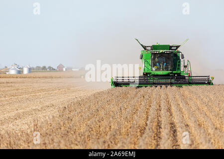 Soja Ernte in der Nähe von Roscoe, Iowa. Stockfoto