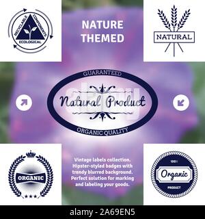 Vintage premium Etiketten auf Fliesen strukturierten Layout festlegen und unscharfen Hintergrund Stock Vektor