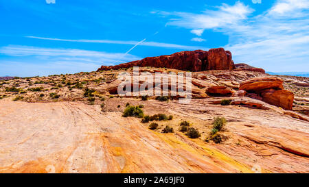 Die bunten Rot, Gelb und weiß gebändert Felsformationen entlang der Brand WAVE-Spur im Valley of Fire State Park in Nevada, USA Stockfoto