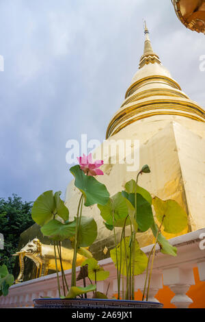 Wat Pra Singh schöne Tempel in Chiang Mai, Thailand, Foto Stockfoto