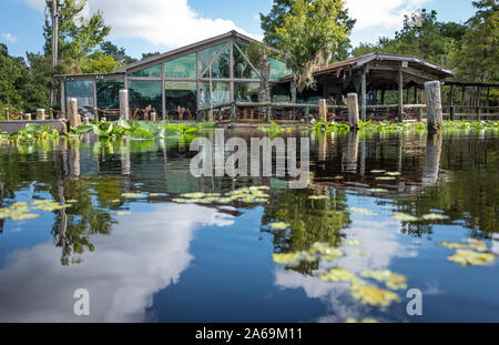 Clark's Fish Camp bietet ein einzigartiges kulinarisches Erlebnis auf Julington Creek in Jacksonville, FL mit dem größten privaten taxidermy Sammlung in den USA. Stockfoto