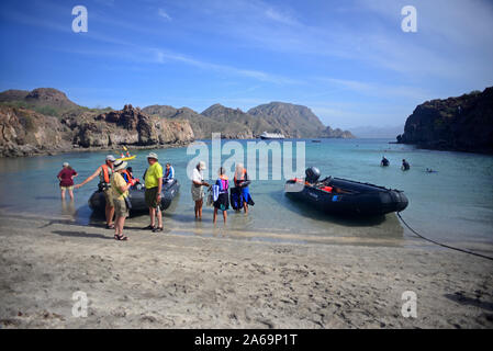 Die Erkundung der See von Cortez auf ein Sternzeichen, Baja California, Mexiko Stockfoto