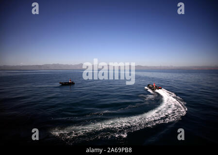 Die Erkundung der See von Cortez auf Sternzeichen, Baja California, Mexiko Stockfoto