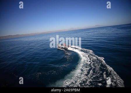 Die Erkundung der See von Cortez auf Sternzeichen, Baja California, Mexiko Stockfoto