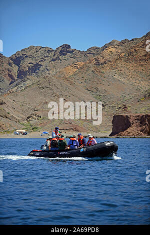 Die Erkundung der See von Cortez auf ein Sternzeichen, Baja California, Mexiko Stockfoto