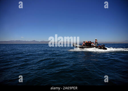 Die Erkundung der See von Cortez auf Sternzeichen, Baja California, Mexiko Stockfoto