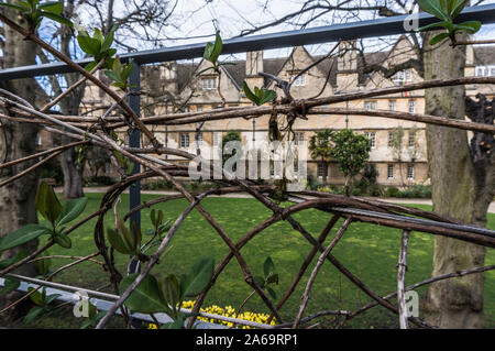 Oxford University - Besuch der Hochschulen - eine wunderschöne Stadt der atemberaubenden Architektur, Geschichte und Kultur Stockfoto