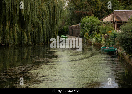 Kleine Tributory Fluss in den Canal du Nivernais & Fluss Yonne in Frankreich, in der Nähe von Auxerre. Stockfoto