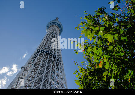 Tokyo Skytree Stockfoto