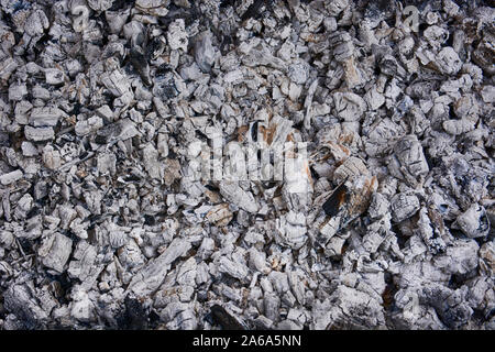 Natürliches Grau Kohlen für den Hintergrund. Schließen kreative carbon Asche Textur. Stockfoto