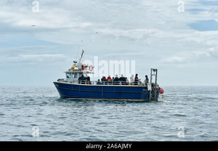 Tauchboot mit Taucher aus den Wappen der Farne Islands. Northumberland, England Stockfoto