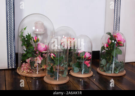 Die ewige Rosen in den Kolben, mehrere Rosen. Langlebige rose in einer Flasche, in einer Glaskuppel, stabilisiert. Das perfekte Geschenk zum Muttertag Stockfoto