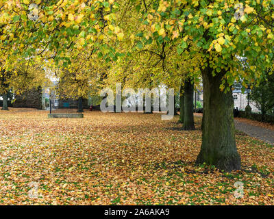 Herbst Bäume im Schlosspark in Knaresborough North Yorkshire England Stockfoto