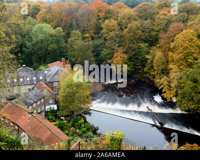 Bäume im Herbst von der Rive Nidd auf Schloss Mills aus der Schlosspark in Knaresborough North Yorkshire England Stockfoto