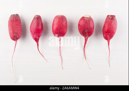 Unvollkommene Organische homegrown lange Radieschen auf weißem Hintergrund. Seltsam aussehende Obst und Gemüse. Unvollkommene produzieren Lebensmittelabfälle kämpfen. Flach. Stockfoto