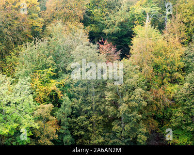 Herbst Farben entlang langer Spaziergang am Ufer des Flusses Nidd aus dem Schlosspark in Knaresborough North Yorkshire England Stockfoto