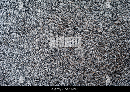 Schwarze und weiße matte Bodenmatte Stoff Hintergrund Textur. Stockfoto