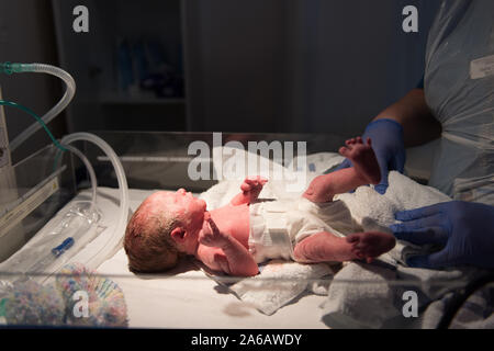 Ein junges Mädchen ist verfrüht, mit einem Gewicht von nur 4 kg, hier dargestellt in weniger als 5 Minuten alt, Mutterschaft, NHS, North Staffordshire Krankenhaus geboren Stockfoto