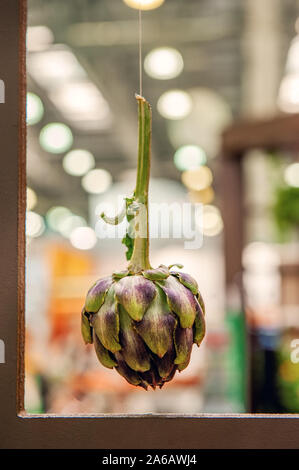 Die Artischockenfrucht hängt im Fenster gegen die hellen Lichter. Die Produkte der Farm. Ernte zum Verkauf Stockfoto