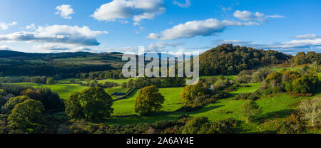 Flotte Valley National Scenic Area auf der Suche nach Holz und Carstramon Cairnsmore der Flotte, in der Nähe von Torhaus der Flotte, Dumfries and Galloway, Schottland Stockfoto