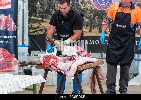 Aracena, Huelva, Spanien - Oktober 20, 2019: Metzger in Schlachtung und traditionelle Herstellung der iberischen Schwein und extrahieren Sie verschiedene Teile o Stockfoto